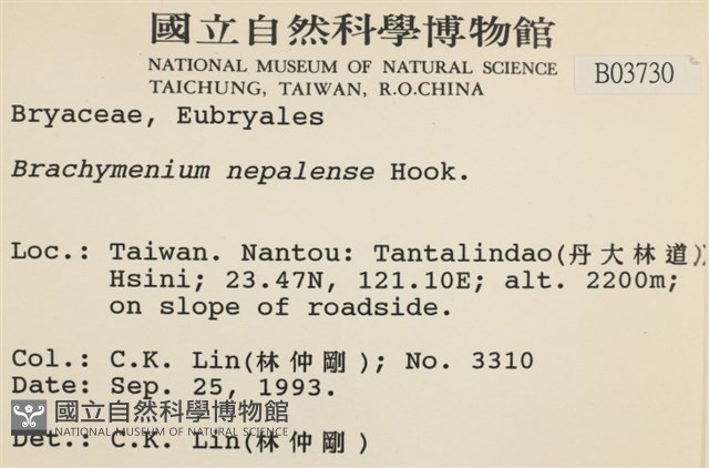 那霸短月蘚藏品圖，第2張