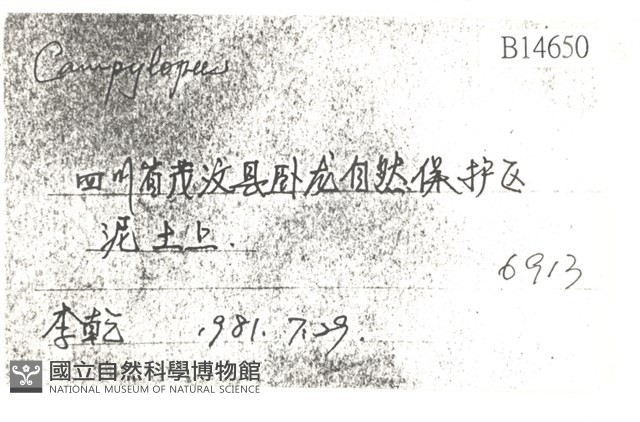 登錄號:B00014650藏品圖，第2張