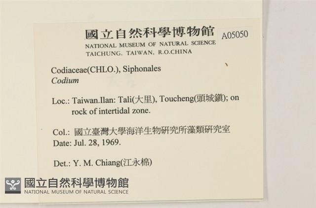 登錄號:A00005050藏品圖，第2張