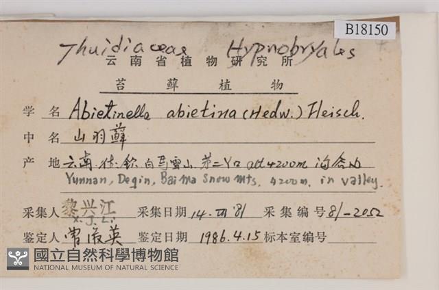 山羽蘚藏品圖，第2張