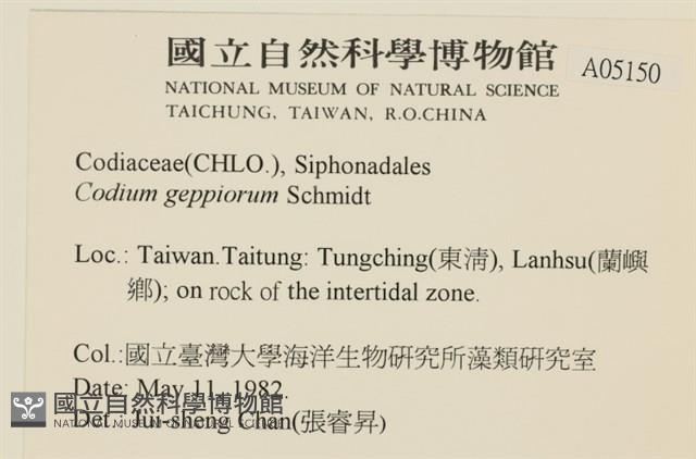 登錄號:A00005150藏品圖，第2張