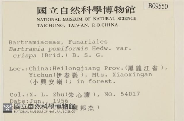 登錄號:B00009550藏品圖，第2張