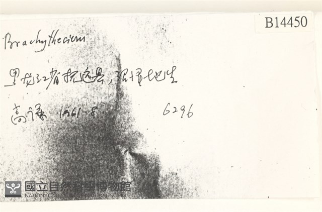 登錄號:B00014450藏品圖，第2張