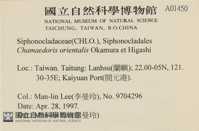 登錄號:A00001450藏品圖，第2張