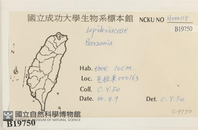 登錄號:B00019750藏品圖，第2張