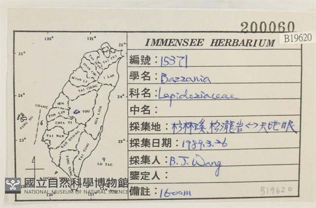 登錄號:B00019620藏品圖，第2張