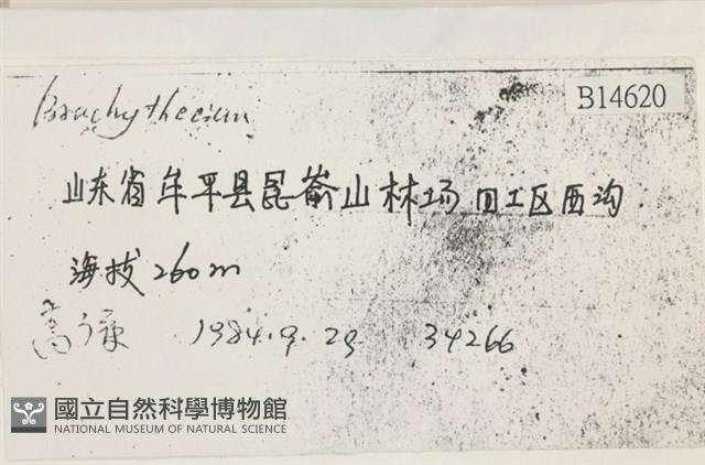 登錄號:B00014620藏品圖，第2張