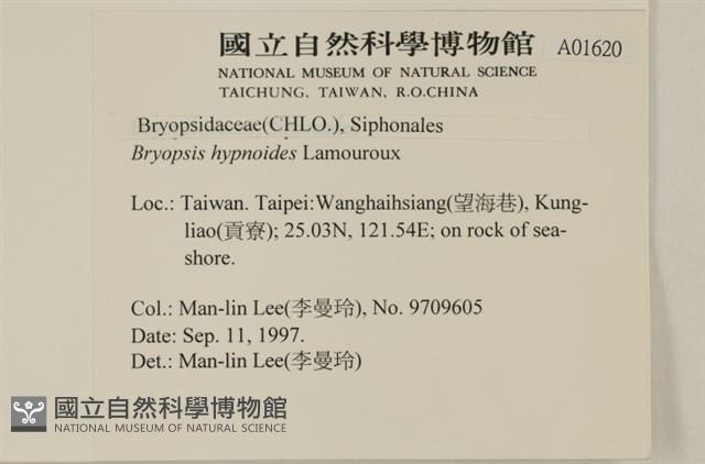 登錄號:A00001620藏品圖，第2張