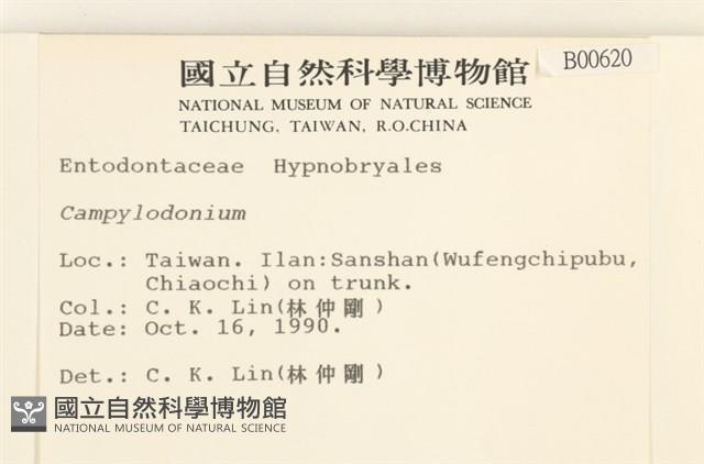 登錄號:B00000620藏品圖，第2張
