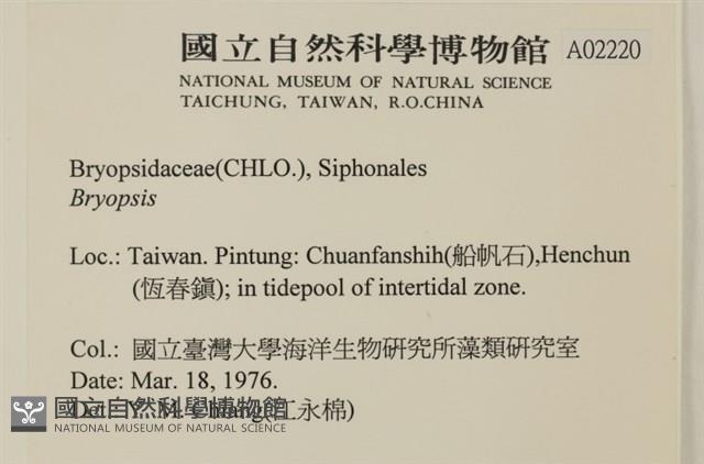 登錄號:A00002220藏品圖，第2張