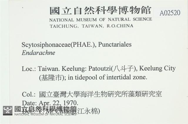 登錄號:A00002520藏品圖，第2張