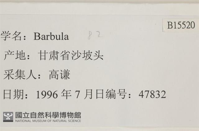 登錄號:B00015520藏品圖，第2張