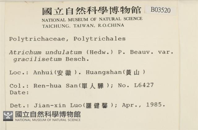 登錄號:B00003520藏品圖，第2張