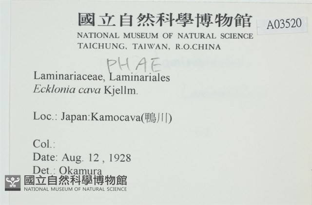 登錄號:A00003520藏品圖，第2張