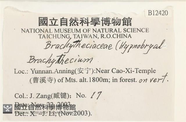 登錄號:B00012420藏品圖，第2張