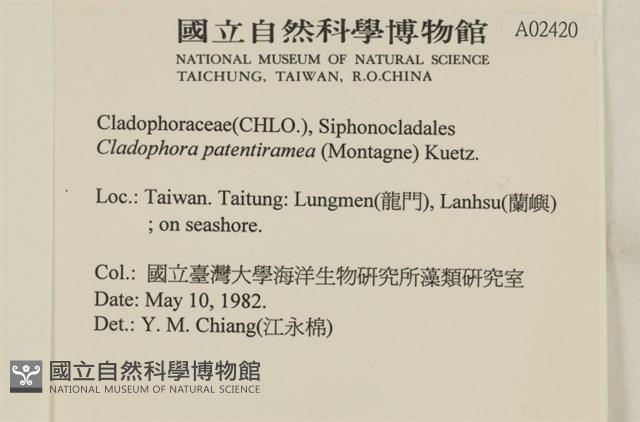 登錄號:A00002420藏品圖，第2張