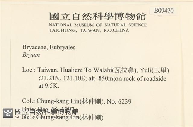 Accession Number:B00009420 Collection Image, Figure 2, Total 2 Figures