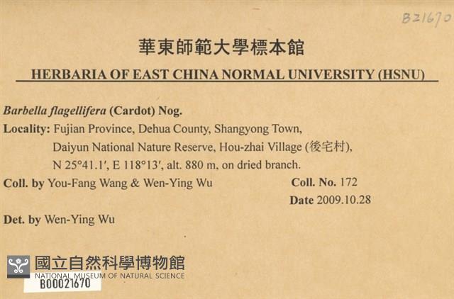鞭枝懸蘚藏品圖，第2張