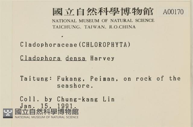 登錄號:A00000170藏品圖，第2張