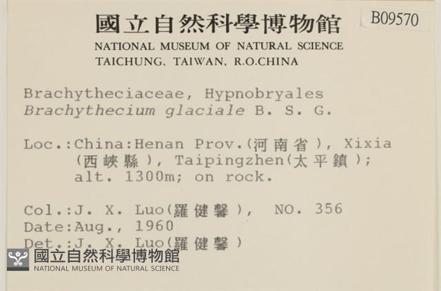 登錄號:B00009570藏品圖，第2張