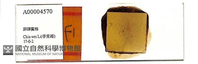 登錄號:A00004570藏品圖，第1張