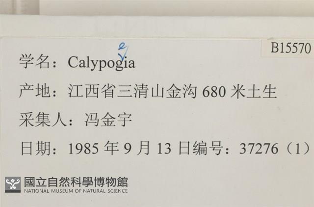 登錄號:B00015570藏品圖，第2張
