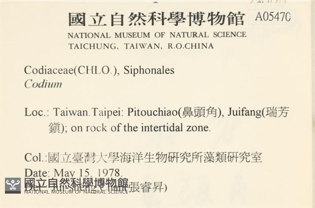 登錄號:A00005470藏品圖，第2張