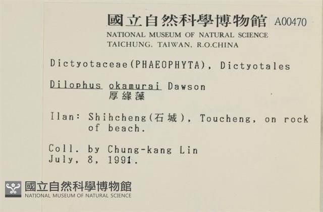 厚緣藻藏品圖，第2張