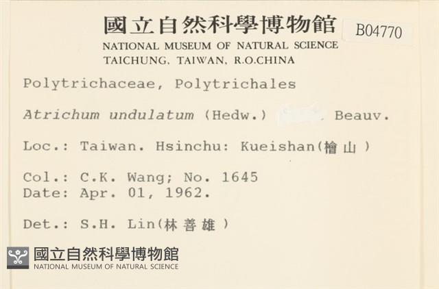 仙鶴蘚藏品圖，第2張