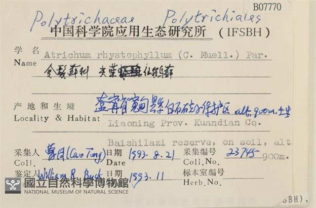 尖葉仙鶴蘚藏品圖，第2張