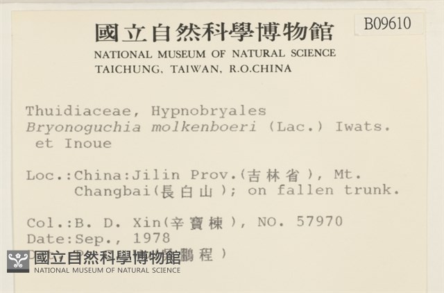 毛羽蘚藏品圖，第2張