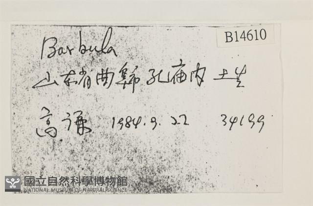 登錄號:B00014610藏品圖，第2張