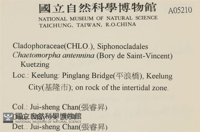 登錄號:A00005210藏品圖，第2張