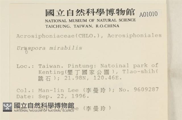 登錄號:A00001010藏品圖，第2張