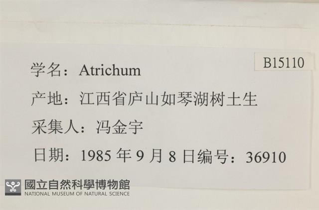 登錄號:B00015110藏品圖，第2張