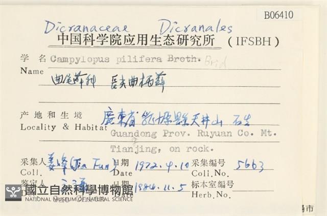 毛尖曲柄蘚藏品圖，第2張