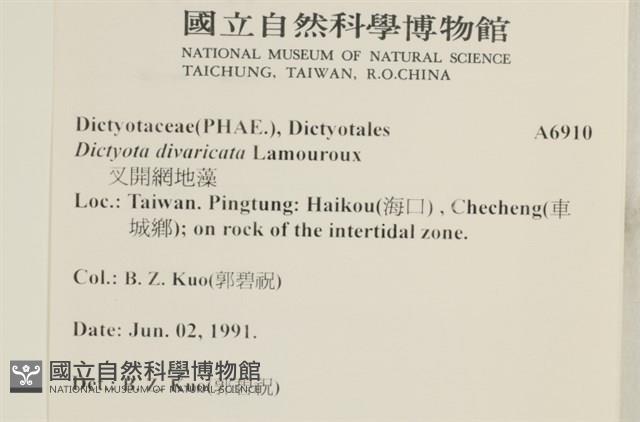 登錄號:A00006910藏品圖，第2張
