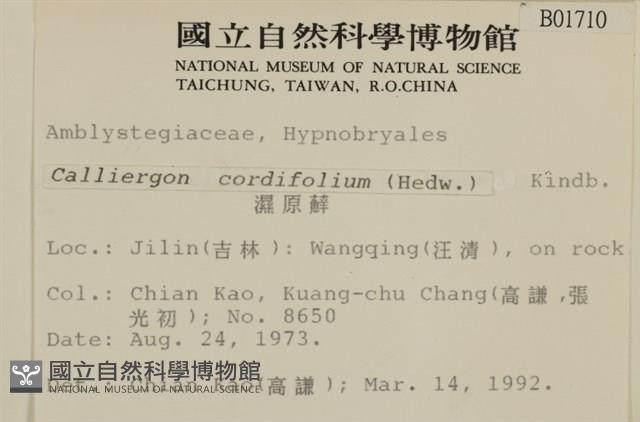 濕原蘚藏品圖，第2張