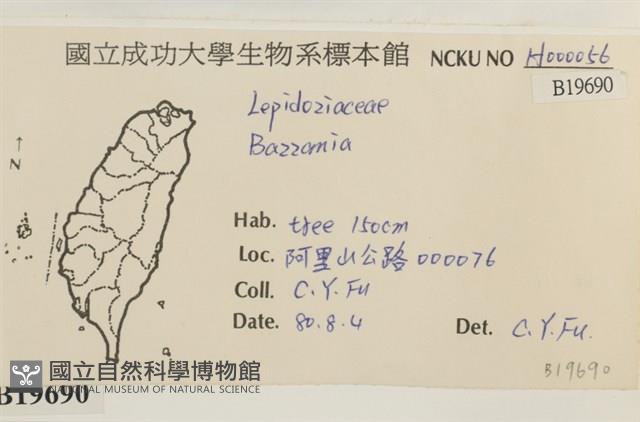 登錄號:B00019690藏品圖，第2張