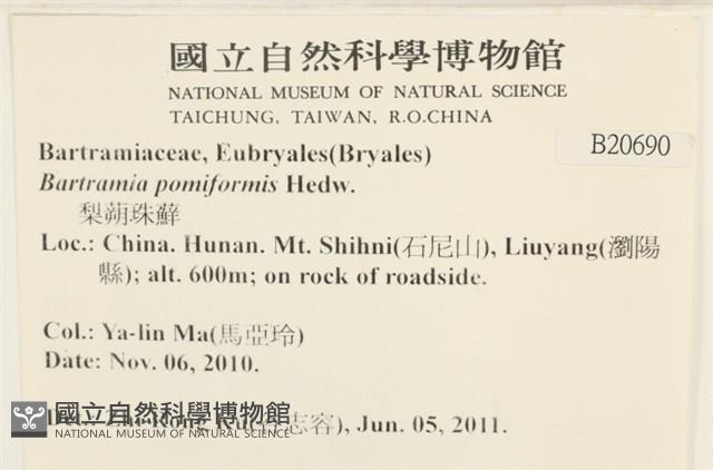 登錄號:B00020690藏品圖，第2張