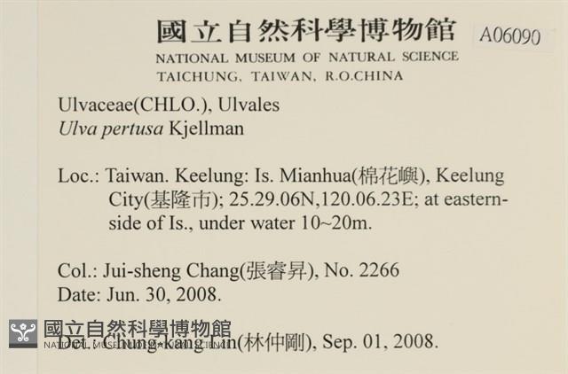 石蓴藏品圖，第2張