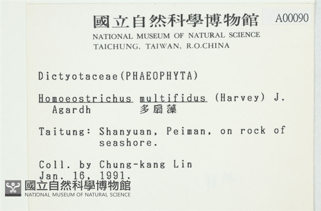 多扇藻藏品圖，第2張