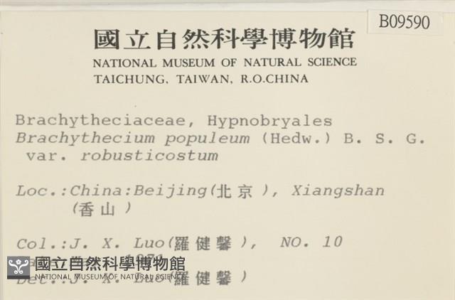 登錄號:B00009590藏品圖，第2張