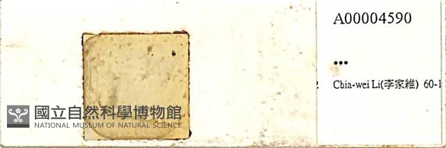 館號:A00004590藏品圖，第1張