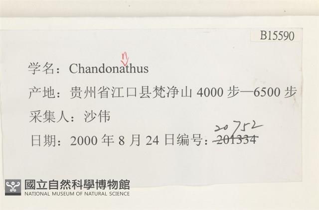 登錄號:B00015590藏品圖，第2張