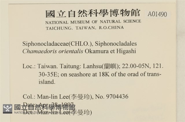 登錄號:A00001490藏品圖，第2張