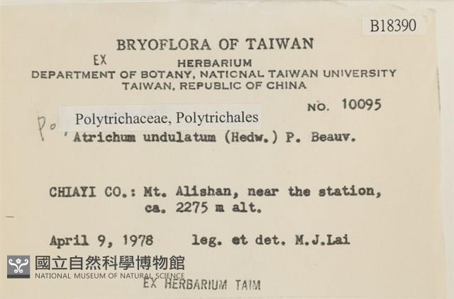仙鶴蘚藏品圖，第2張