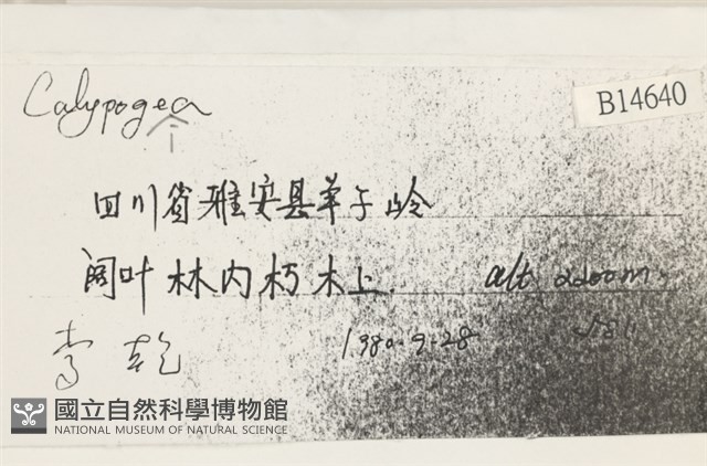 登錄號:B00014640藏品圖，第2張