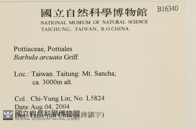 登錄號:B00013640藏品圖，第2張