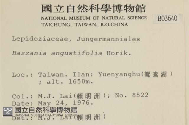 登錄號:B00003640藏品圖，第2張